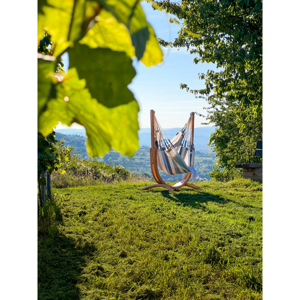 Hammock chair frame in park