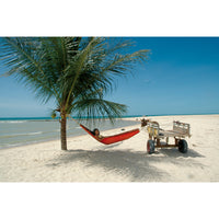 Hammock hanging from coconut tree